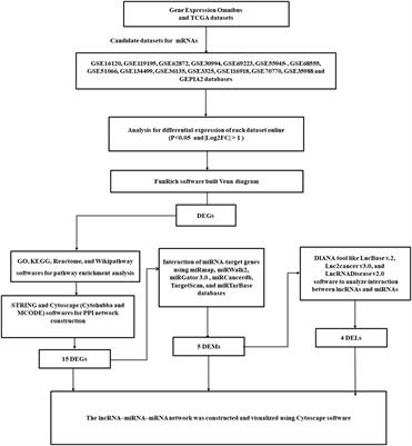 A systematic method introduced a common lncRNA-miRNA-mRNA network in the different stages of prostate cancer